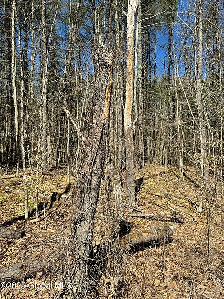 5th image of L11.2 Kilmer Road