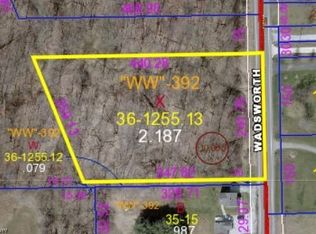 Wadsworth Rd, Marshallville, OH 44645