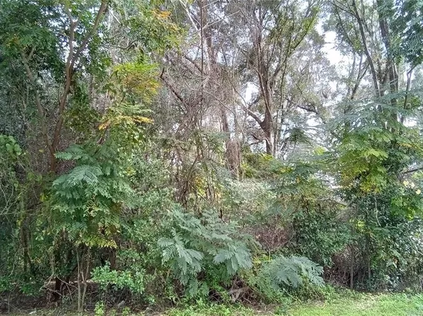 SE 30th Ct Lot 153155, Belleview, FL 34420
