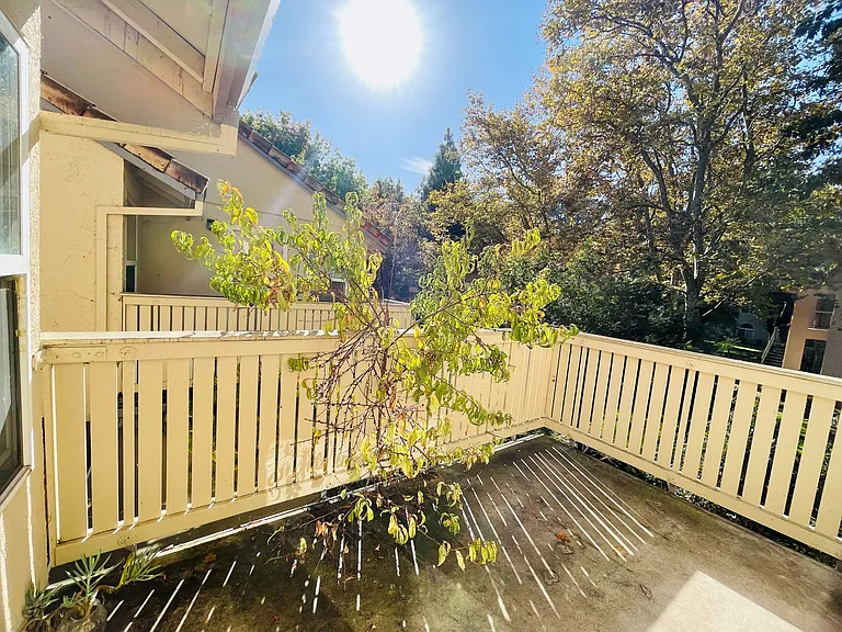 1208 Forest Run — Photo 10