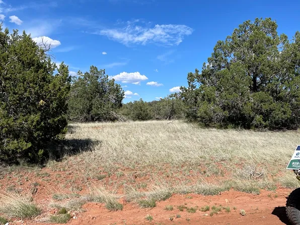 54803 N El Portal Ln, Seligman, AZ 86337