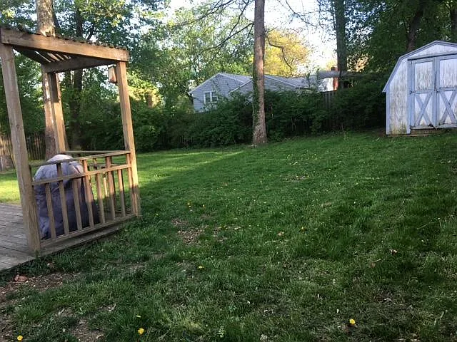 Back yard 4