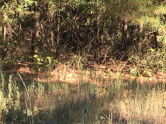 3rd image of 0000 SE County Road 4250