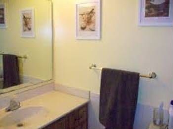 3rd image of 3022 Travelers Palm Dr