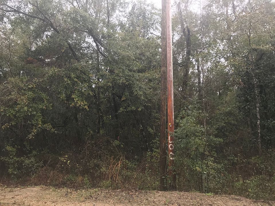 2nd image of Parramore Shores Rd
