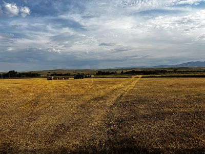 1408 State Highway 345, Ranchester, WY, 82839