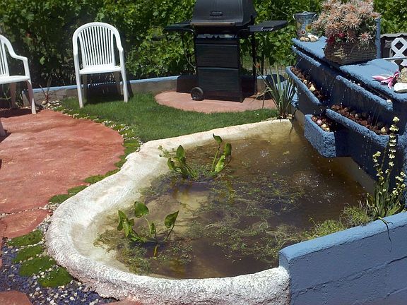 BBQ area with Koi pond & waterfall