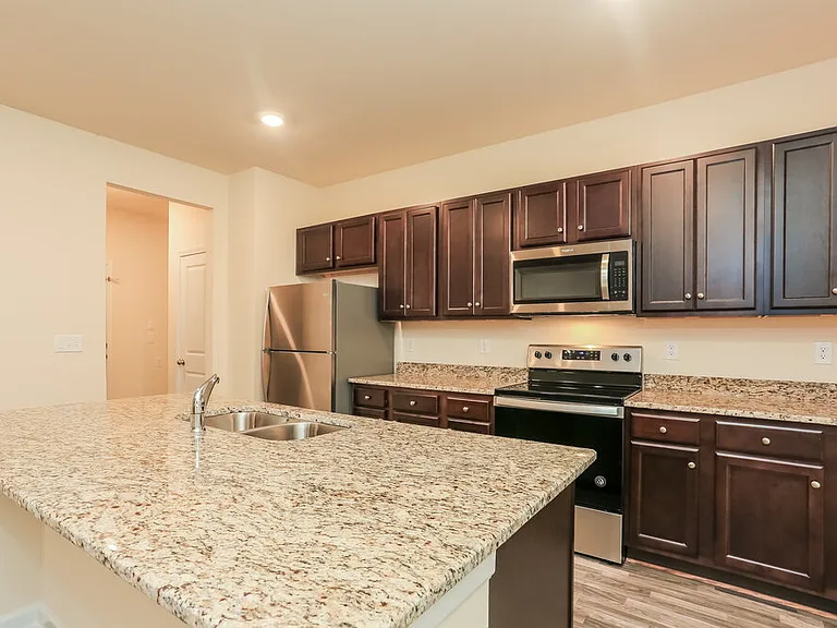 203 Hamilton Pointe Dr — Photo 7