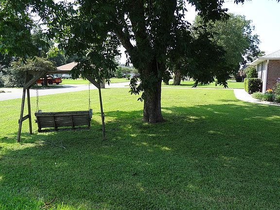 Your very own pecan tree