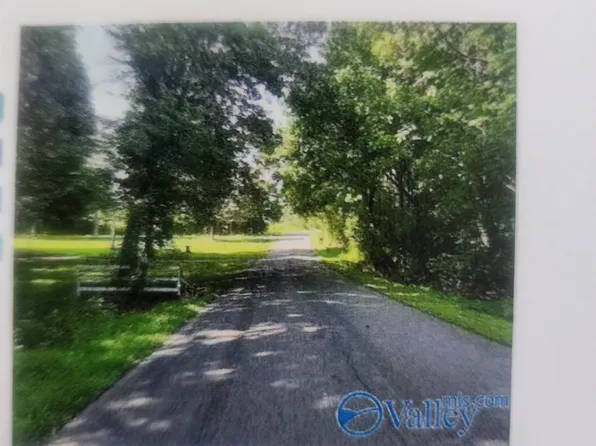 0 Rocky Branch Rd, Guntersville, AL 35976