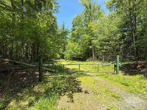 0 Browning Lambert Mountain Rd, Rock, WV 24747