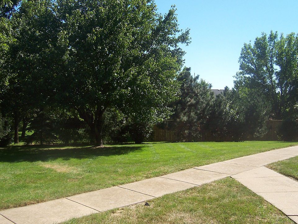 Beautiful Green Space in Front of House