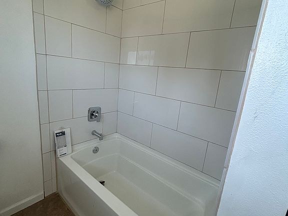 Master bathroom Shower and tub!