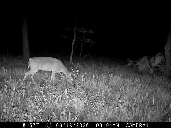3rd image of None Tbd Cres #386