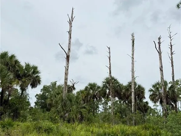 2905 Hanna AVE N, LEHIGH ACRES, FL 33971