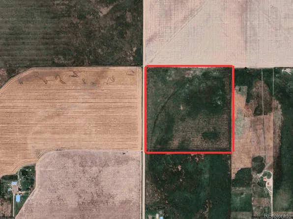 10378 County Road 6, Wiggins, CO 80654