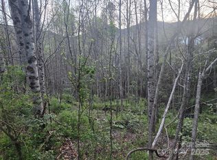 1 Running Water Cir, Sylva, NC 28779