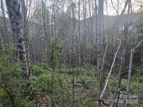 1 Running Water Cir, Sylva, NC 28779