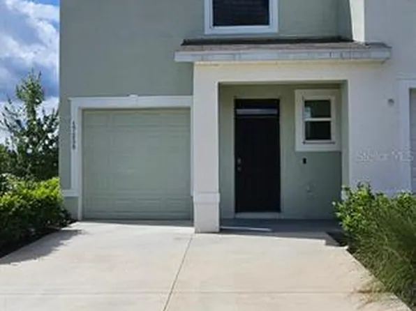 17258 Ashe Juniper Lane Land, Land O Lakes, FL 34638