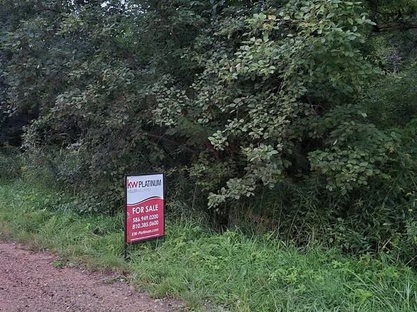 V/l N Ehlers Rd, Rhodes, MI 48652