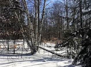 Thissell Rd, Bakers mills, NY 12811