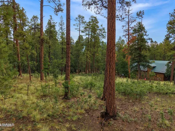 8 COUNTY ROAD 2070 -- #137, Alpine, AZ 85920