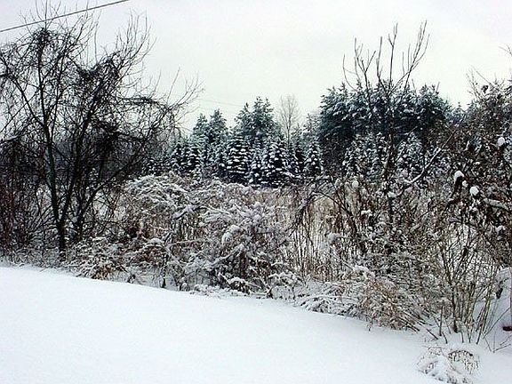 Gorgeous View from your yard!
