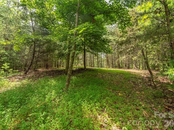 LOT 46 Black Forest Dr, Marion, NC 28752