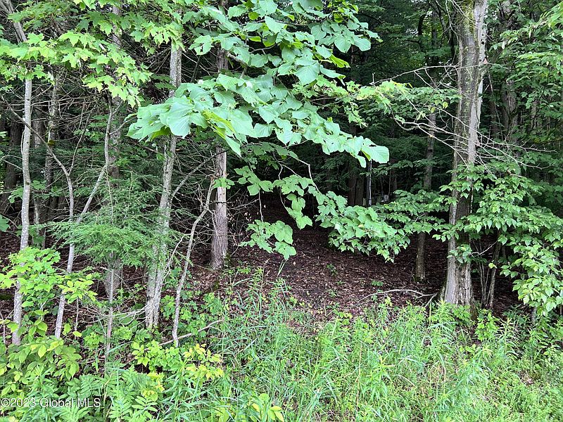 4th image of 325 Smith Road