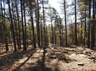 122 Timber Dr, Bayfield, CO 81122