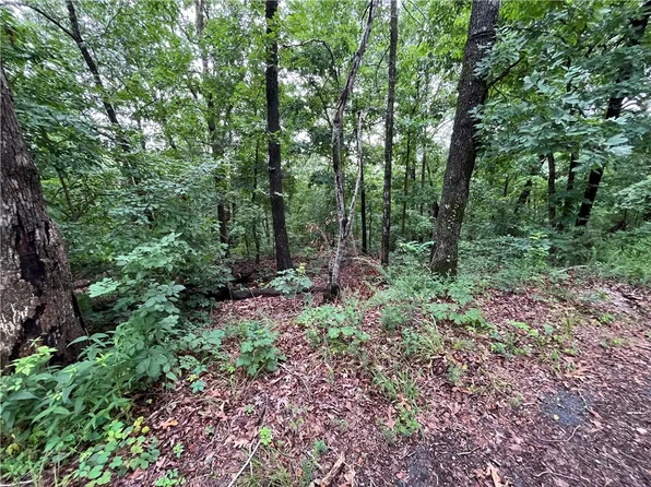 3 Dunstable Dr #3, Bella Vista, AR 72714