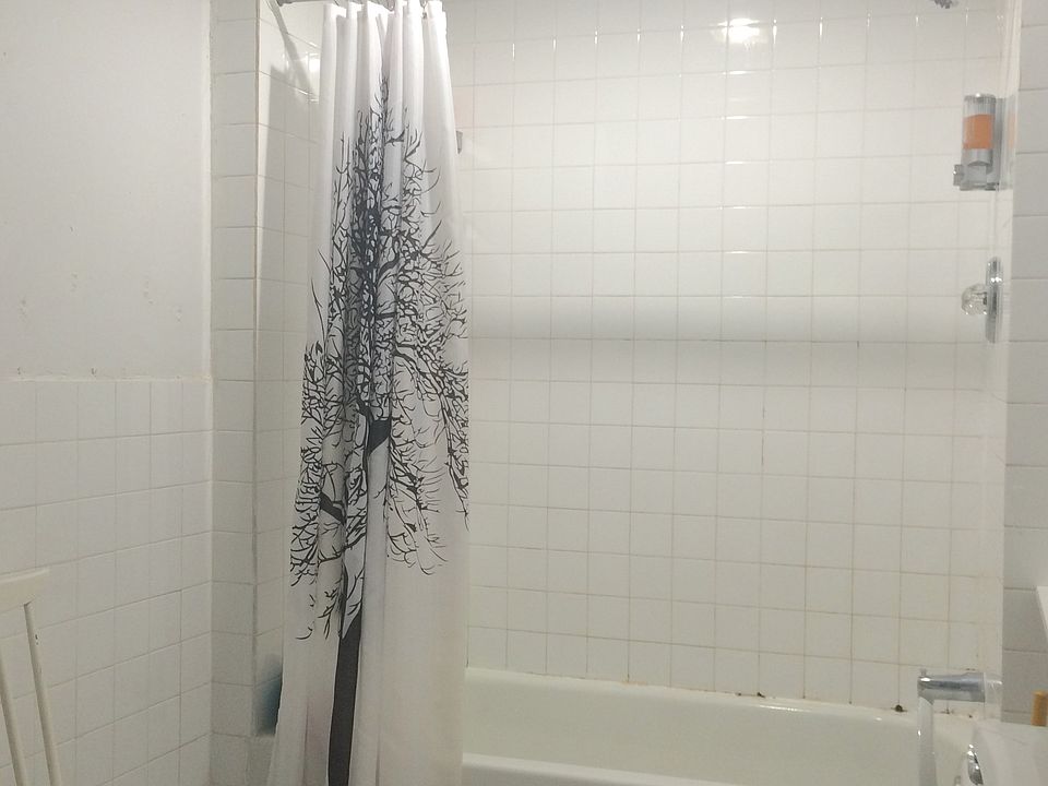 2nd image of 255 McKibben St #5012