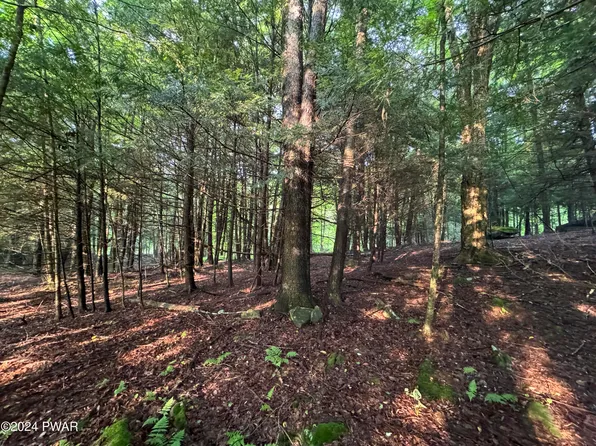Baxter Rd, Pleasant Mount, PA 18453