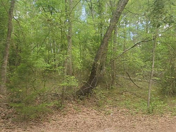 4th image of LOT 6 Thornwood Dr