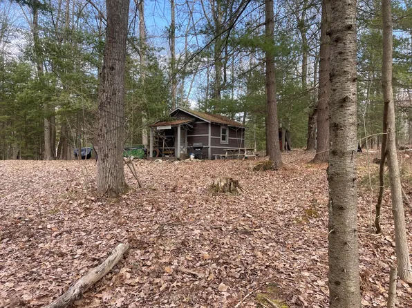 Adams Rd, Gladwin, MI 48624