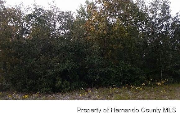 1st image of LOT 77 N Woodland Waters Blvd