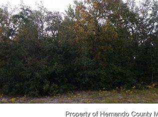 LOT 77 N Woodland Waters Blvd, Brooksville, FL 34613