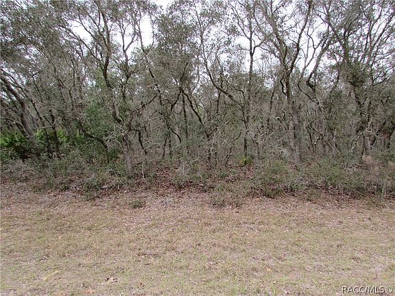 5th image of 1647 W Belen Dr