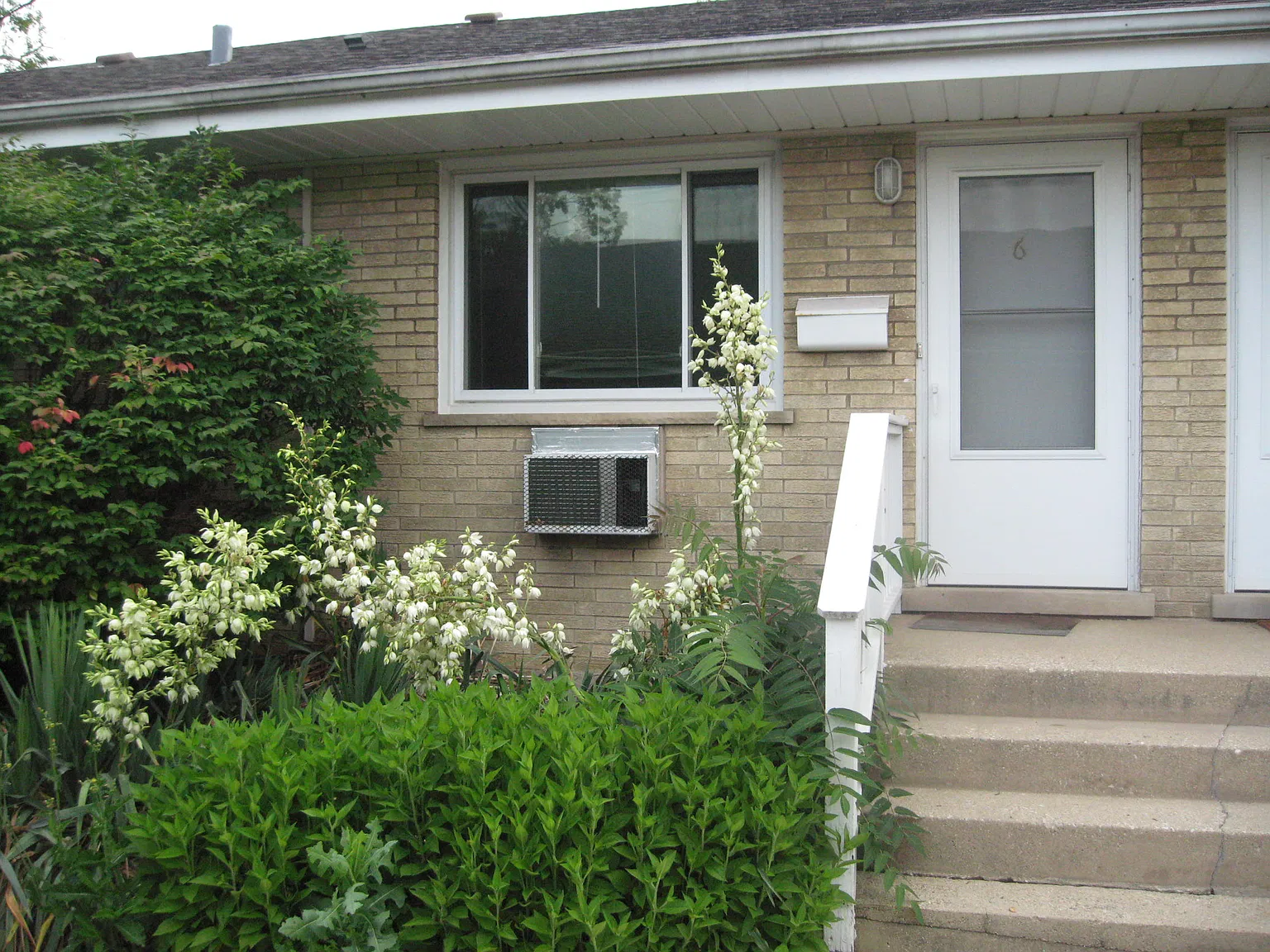 1 bed, 600 sqft, $1,550 — Photo 2