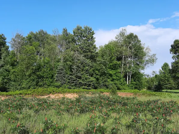 Spruce Rd, Alpena, MI 49707