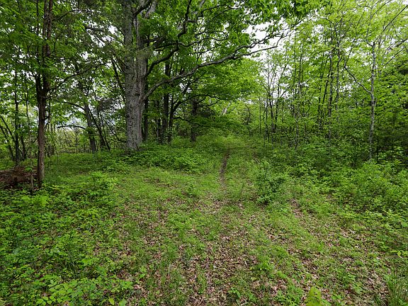 3rd image of 5655 Us Highway 421 N Lot Wp006