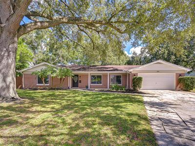 1901 Little Cv, Tampa, FL, 33613