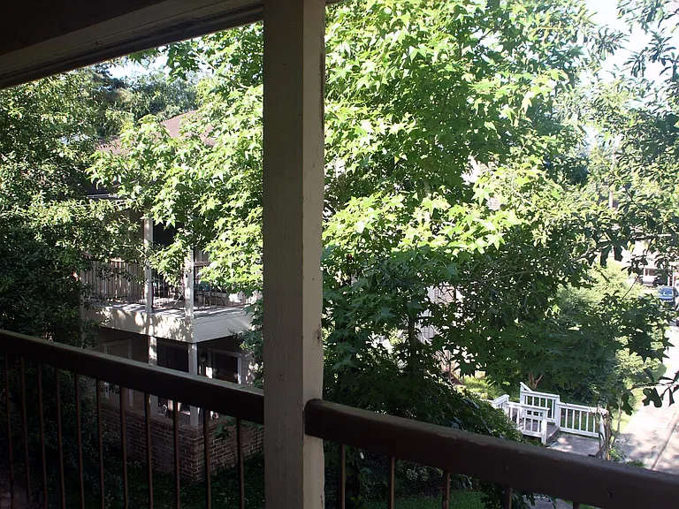 Outside tree lined covered patio