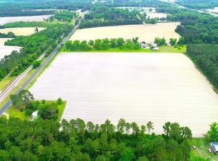 140 The Farm Ln, Lenox, GA 31637