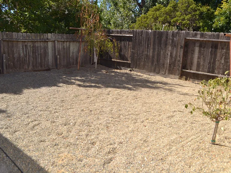 Side Yard Area
