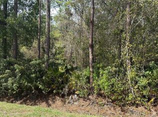 4801 E La Flam Rd, Avon Park, FL 33825