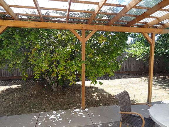 back of property - hazelnut tree
