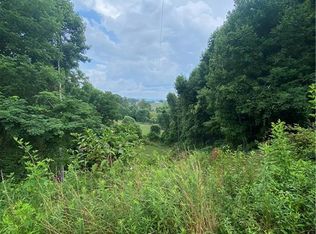 99999 Watsell Dr, Leicester, NC 28748