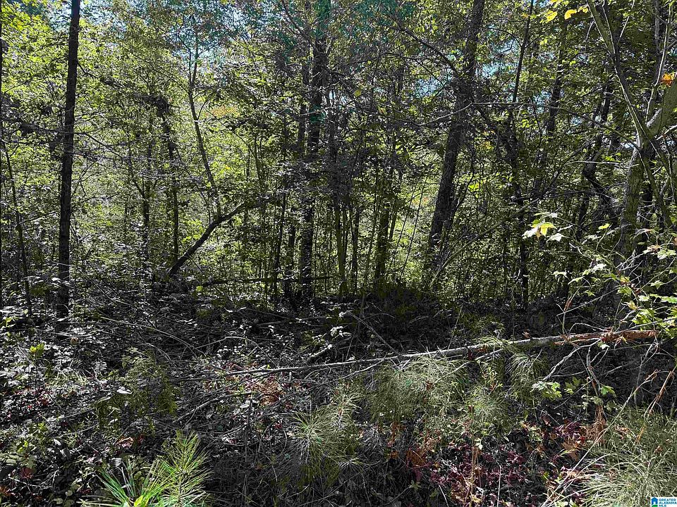 1st image of Lakeview Dr #7