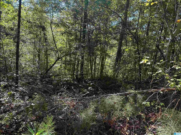 Lakeview Dr #7, Oneonta, AL 35121